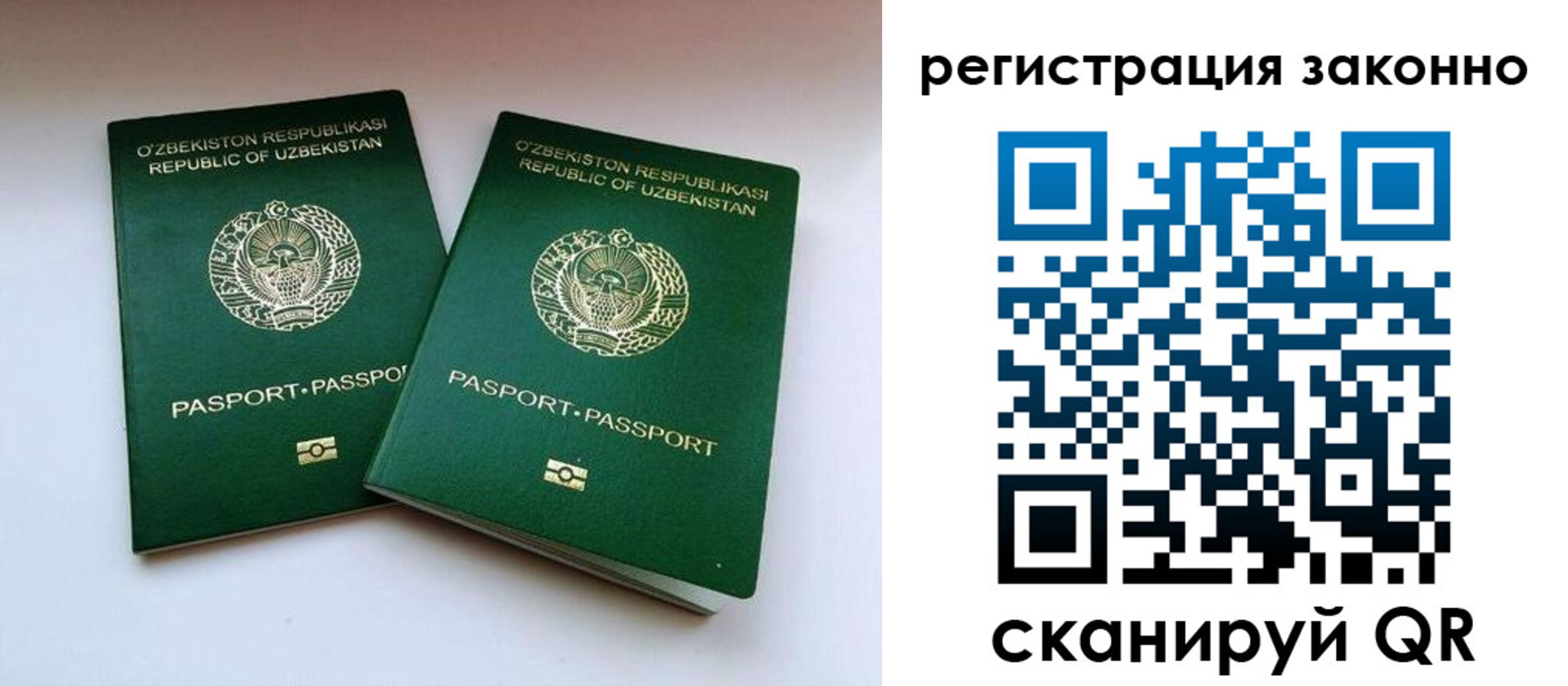 прописка гарантия в Лесосибирске